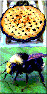 Pie Bee